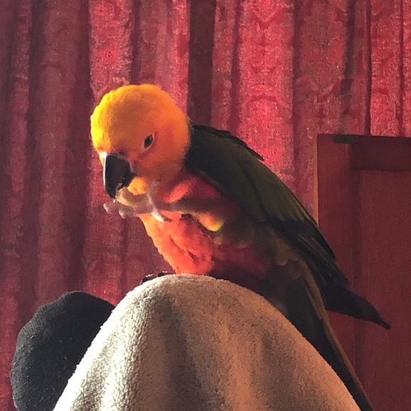 Meet your Posher, Debbie - Picture 4 of 11